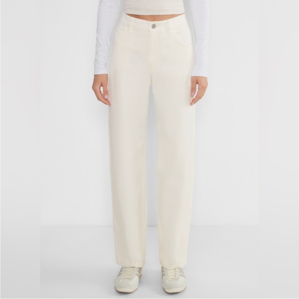 Aritzia Groundwork Baggy Pants